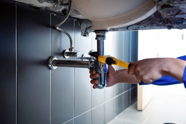 Best Drain Cleaning & Maintenance in West Rson, CA